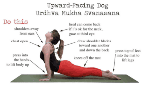 Upward Dog Yoga